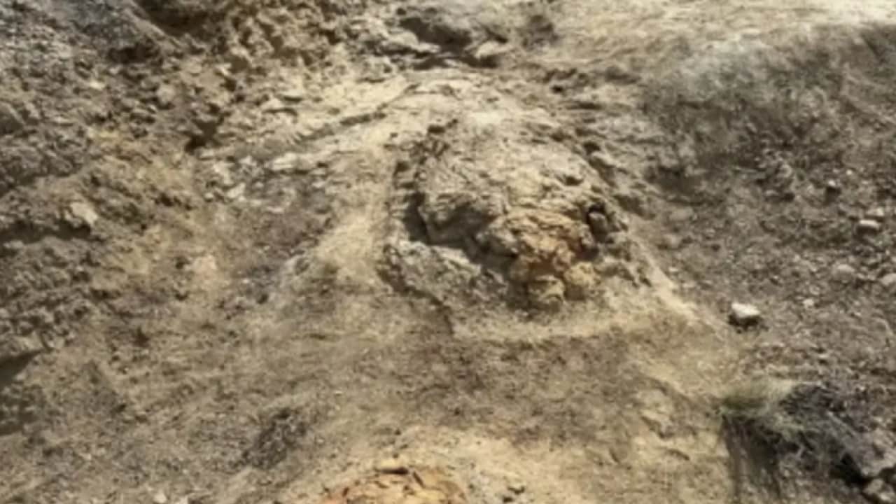 Foto - Tam 7 metrelik ayak izi bulundu! Bilim dünyasını heyecanlandırdı!