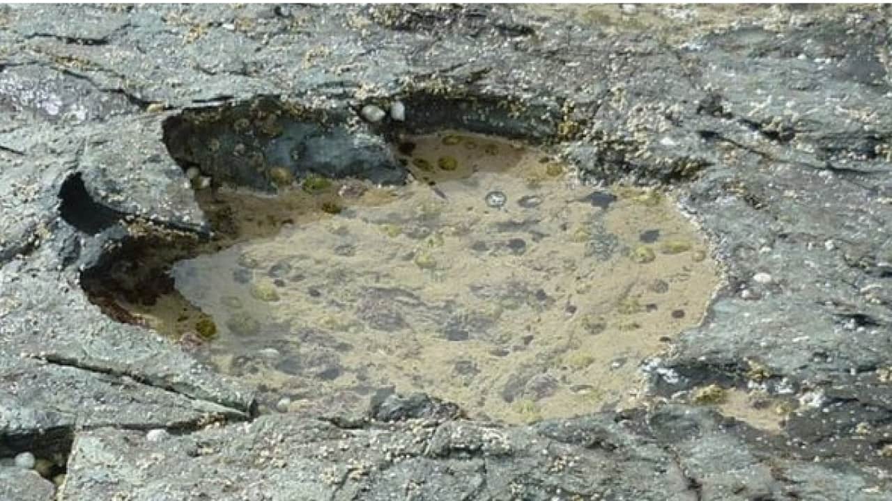 Foto - Tam 7 metrelik ayak izi bulundu! Bilim dünyasını heyecanlandırdı!