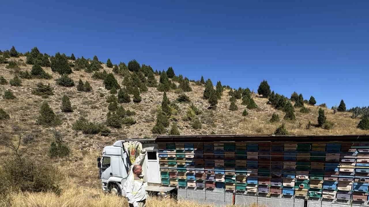 Foto - Tam beş ton bal bekliyorlar: Son olarak 20 tondu... 1 yıl sonra etkisini gösterecek