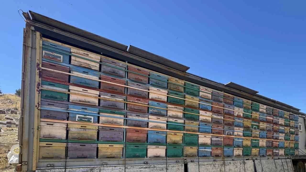 Foto - Tam beş ton bal bekliyorlar: Son olarak 20 tondu... 1 yıl sonra etkisini gösterecek