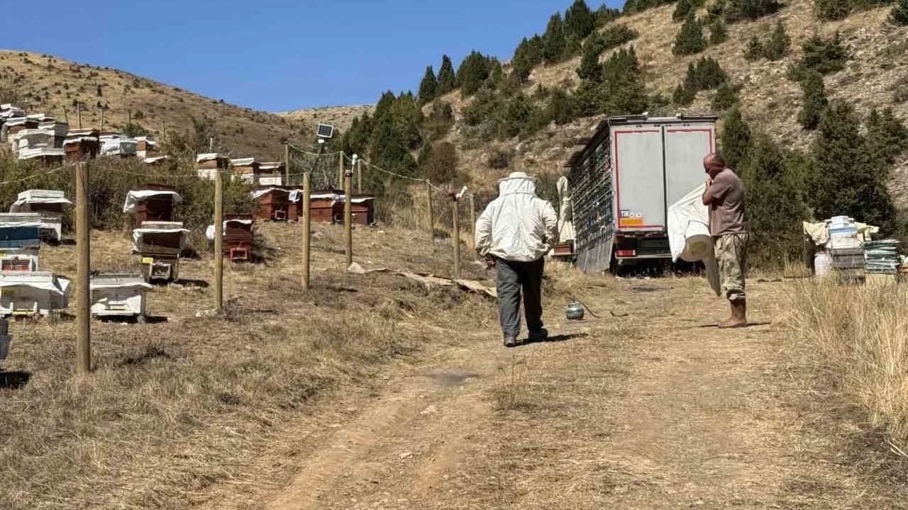 Foto - Tam beş ton bal bekliyorlar: Son olarak 20 tondu... 1 yıl sonra etkisini gösterecek