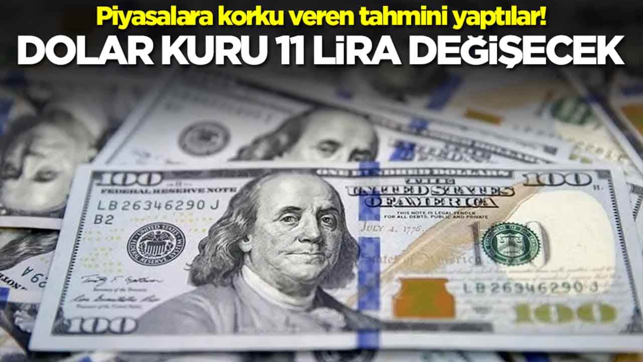 Tarih verdiler: Dolar kuru 11 lira değişecek