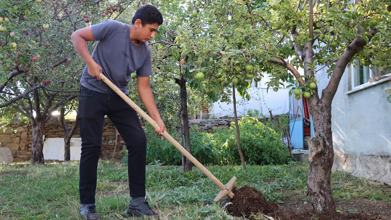 Foto - Tarım lisesinde öğrendiğini köyünde uyguladı! 16 yaşında kendi parasını kazandı