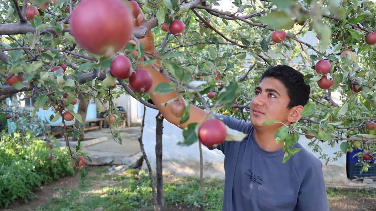 Foto - Tarım lisesinde öğrendiğini köyünde uyguladı! 16 yaşında kendi parasını kazandı