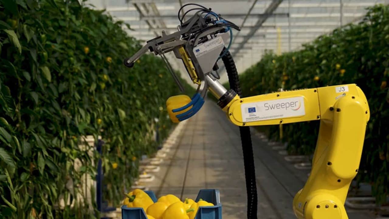Foto - Tarımda dijital çağ başladı Robot filoları tarlaya indi