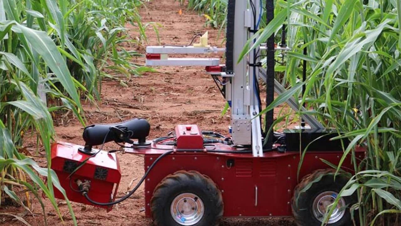 Foto - Tarımda dijital çağ başladı Robot filoları tarlaya indi