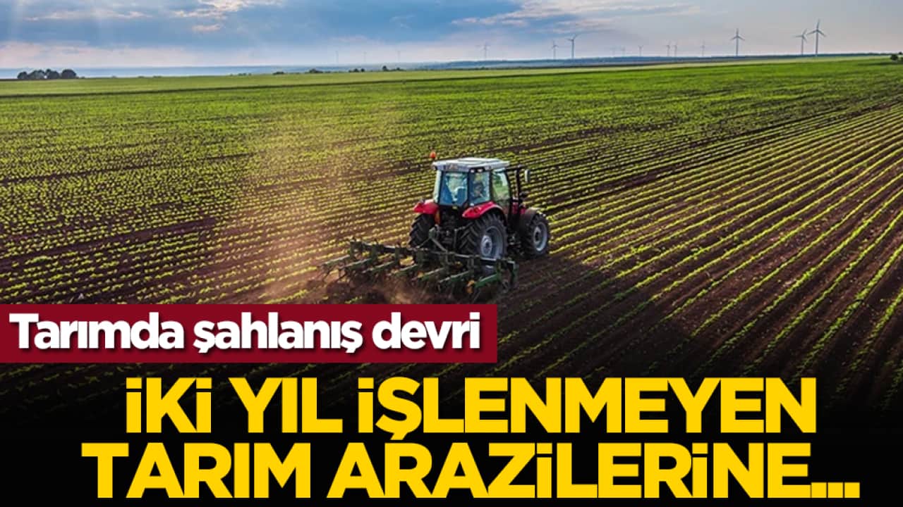 Tarımda şahlanış devri: İki yıl işlenmeyen tarım arazilerine...