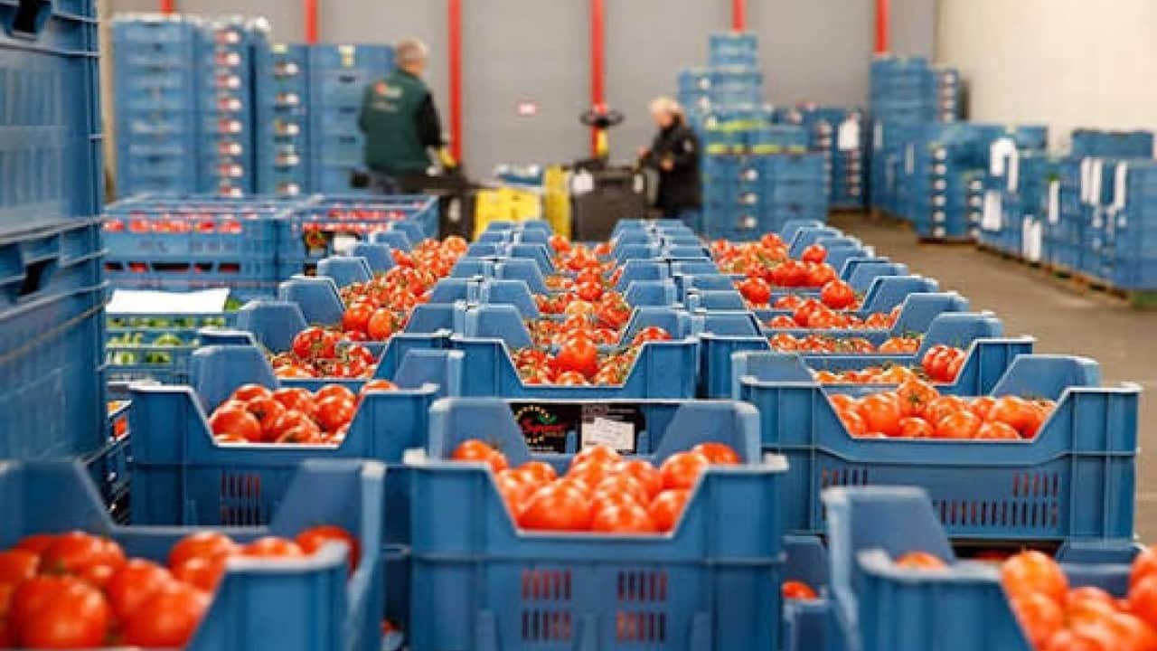 Foto - "Tarımı bitirdiler" diyen güruha tokat gibi gerçek Meyve sebze ihracatı ilk kez rekor kırdı