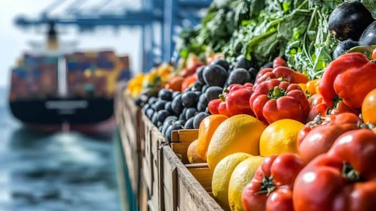 Foto - "Tarımı bitirdiler" diyen güruha tokat gibi gerçek Meyve sebze ihracatı ilk kez rekor kırdı