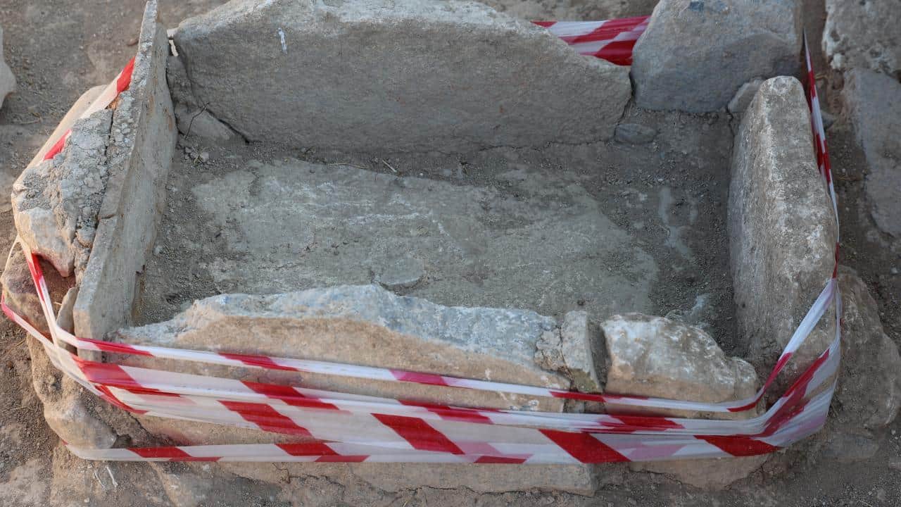 Foto - Tarlada fidan dikerken bulunmuştu! O mozaiğin ardından dev yerleşim ortaya çıktı
