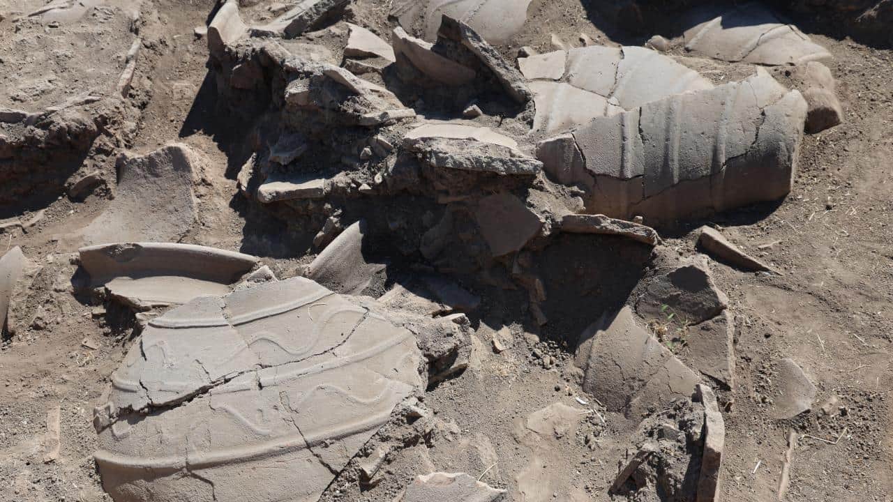 Foto - Tarlada fidan dikerken bulunmuştu! O mozaiğin ardından dev yerleşim ortaya çıktı