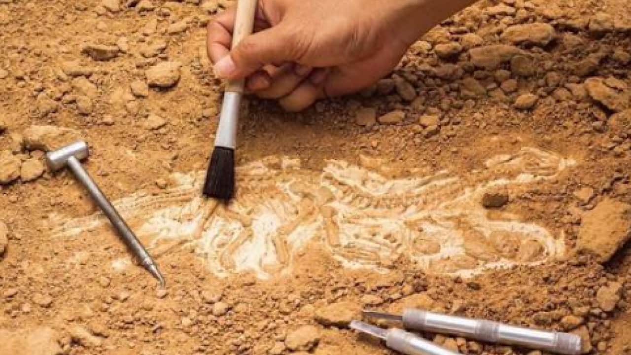 Foto - Tarladan çıkan altın yüzük tarihi değiştirdi! Üzerindeki yazı 2 bin yıllık