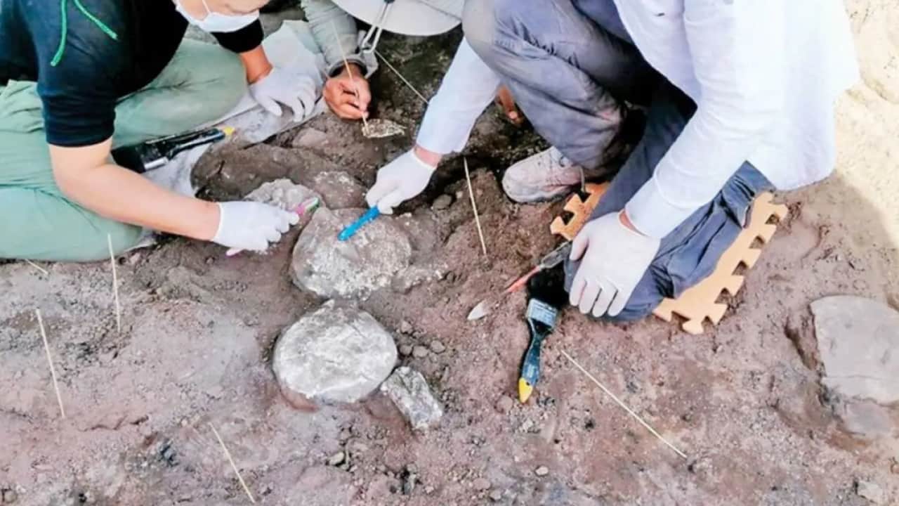 Foto - Tarladan çıkan altın yüzük tarihi değiştirdi! Üzerindeki yazı 2 bin yıllık