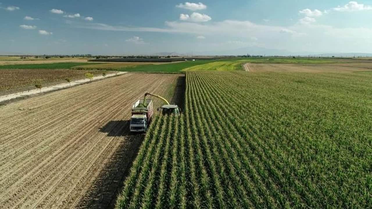Foto - Tarlasında yürürken topraktan bir anda hazine fışkırdı! 146 milyon liraya satıp servet kazandı