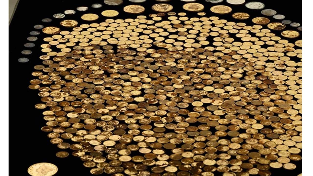 Foto - Tarlaya gitti, bir gecede dolar milyoneri oldu!