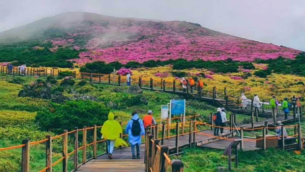 Foto - Tatil bölgesinde seri katil alarmı! 3 günde 4 ceset bulundu
