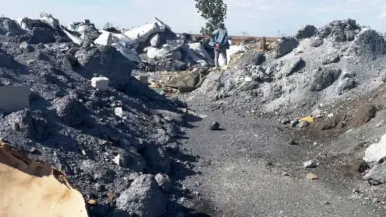 Foto - Tekirdağ'da çevre krizi: 2,5 yıldır çare bulamadılar!