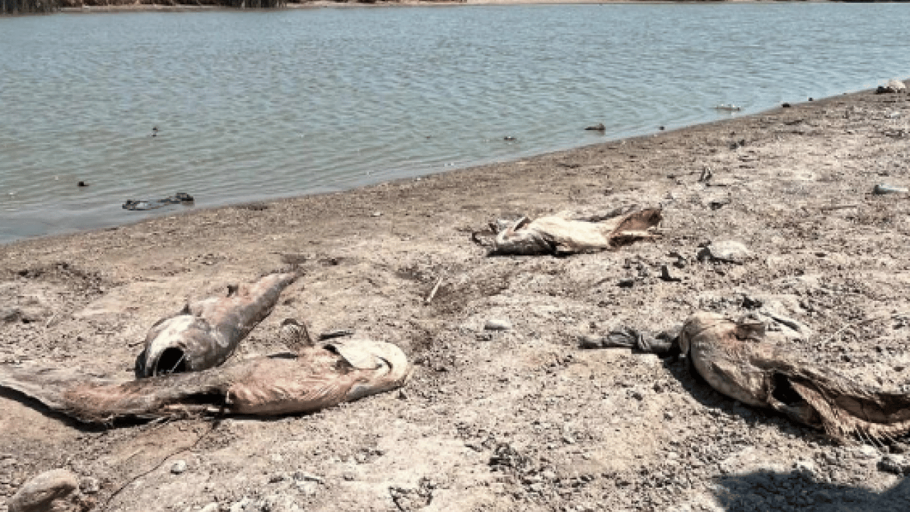 Foto - Tekirdağ'da ciddi su sıkıntısı: Kuraklık alarmı! 20 günlük su kaldı... Su seviyesi yüzde 1'in altına düştü