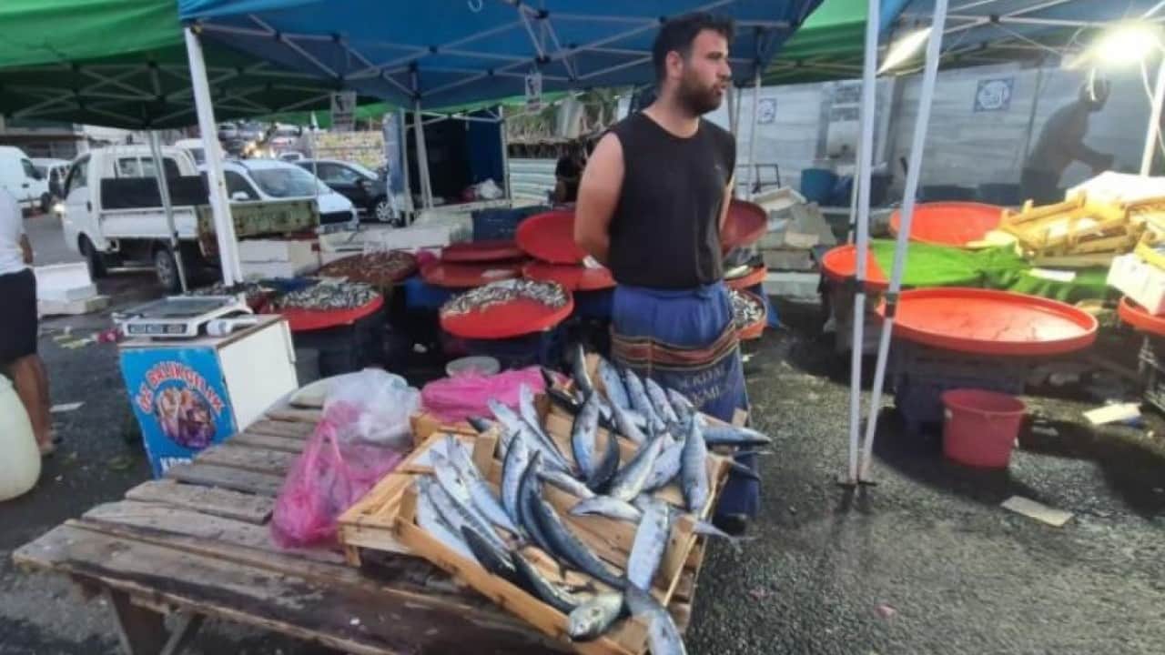 Foto - Tekirdağ’da palamut fiyatları yüz güldürdü