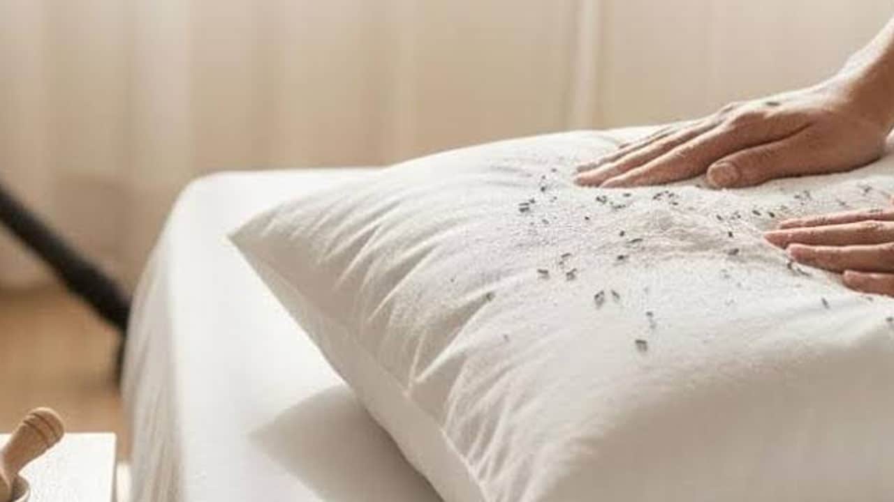 Foto - Temizlik adımı: Yastıklar bembeyaz oluyor, Çamaşır makinesine tek 1 ürün ekleyin! Yıllarca yanlış yapıyormuşuz