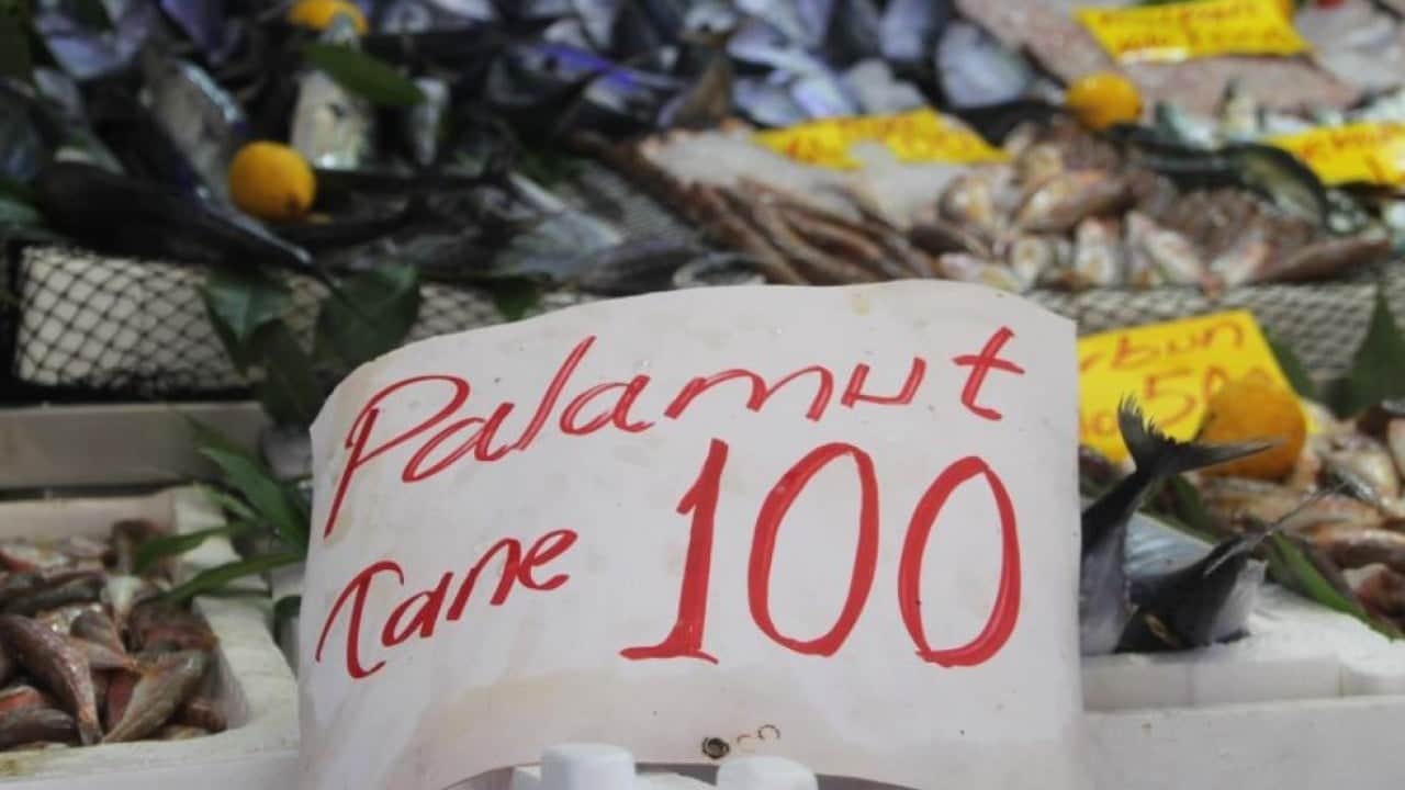 Foto - Tezgahlarda palamut bereketi! 600 gramlık balığın fiyatı 100 liraya düştü
