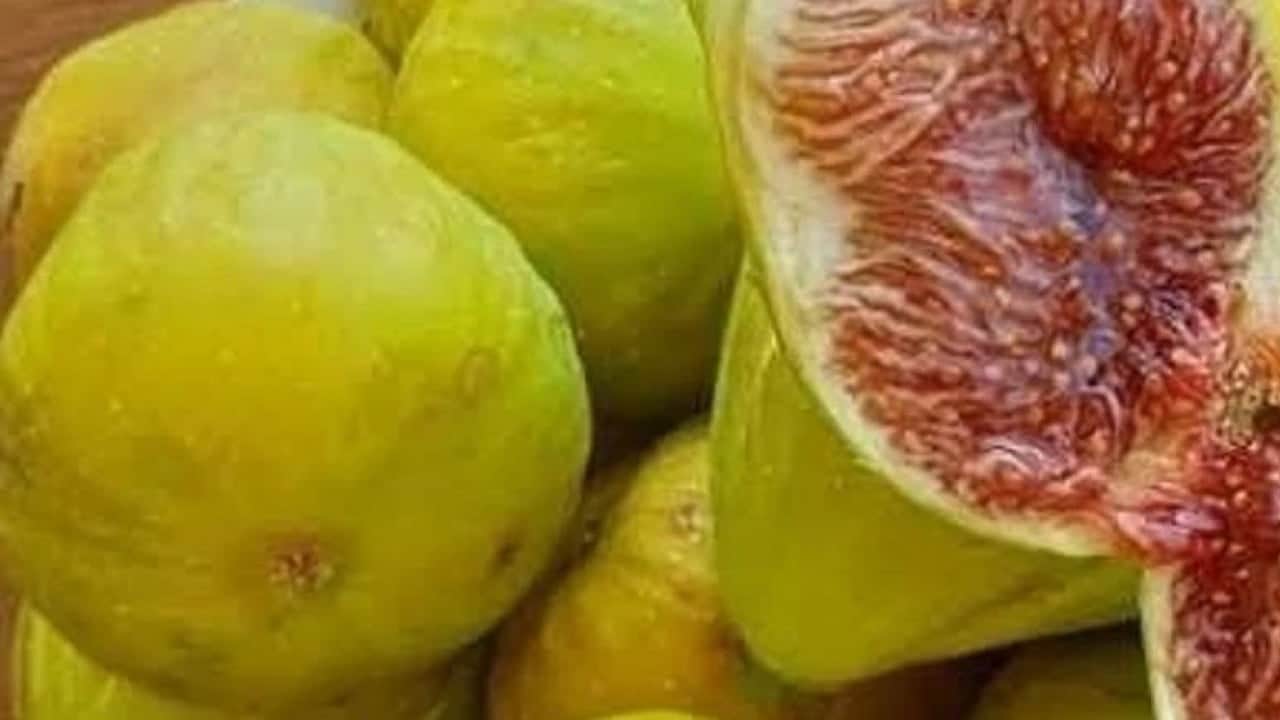 Tıp bilgini İbn-i Sina’nın övdüğü şifa dediği incir alırken dikkat edin: Her derde şifa biiznillah