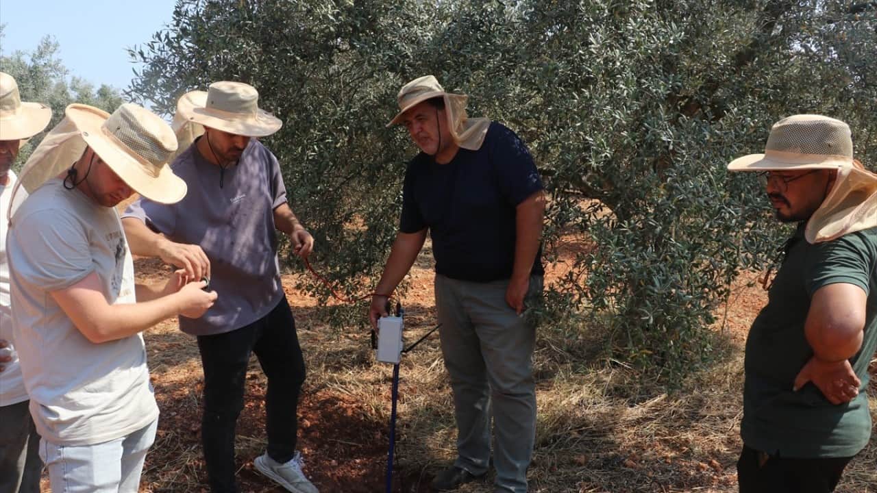Foto - Tıp doktorluğundan zeytin doktorluğuna yatay geçiş yaptılar