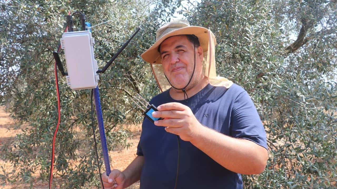 Foto - Tıp doktorluğundan zeytin doktorluğuna yatay geçiş yaptılar