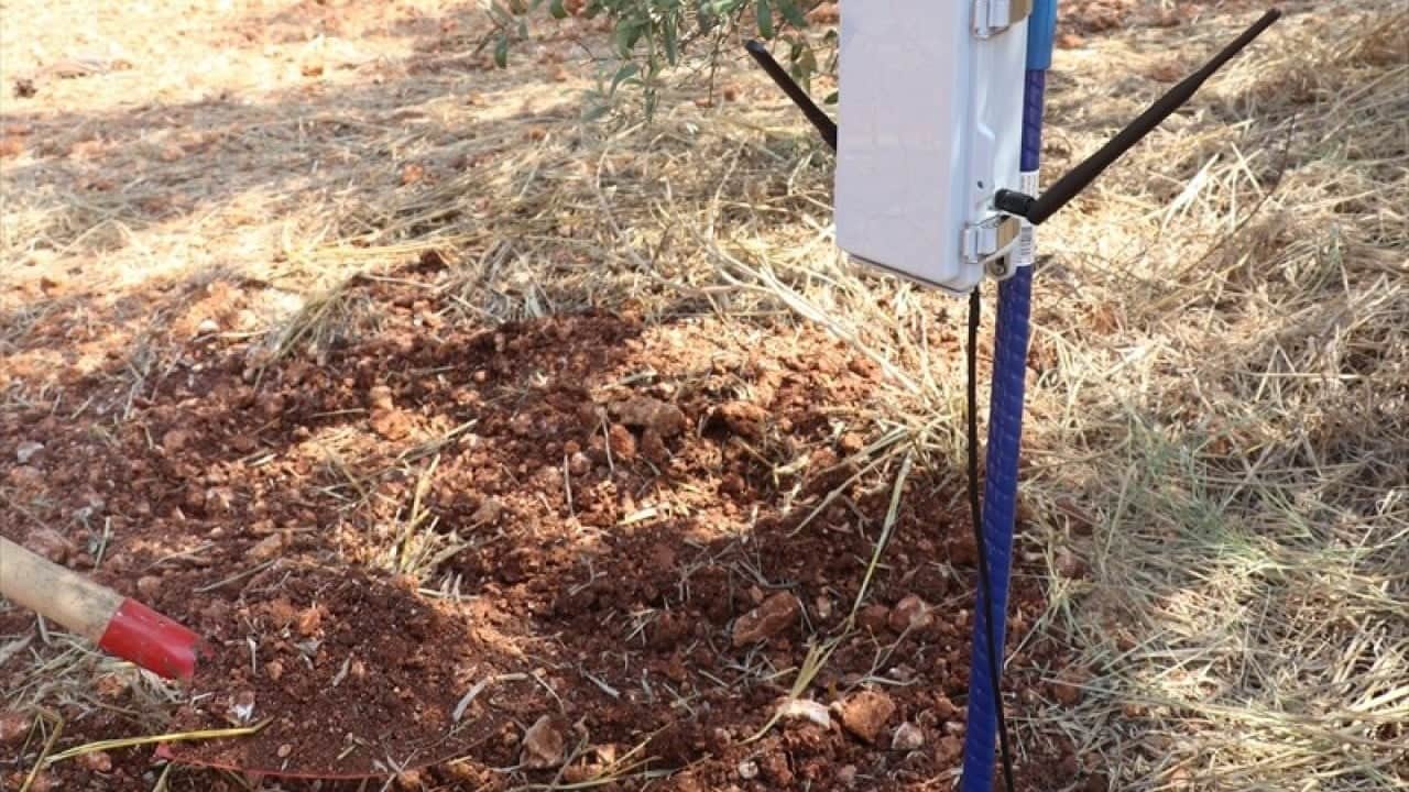 Foto - Tıp doktorluğundan zeytin doktorluğuna yatay geçiş yaptılar