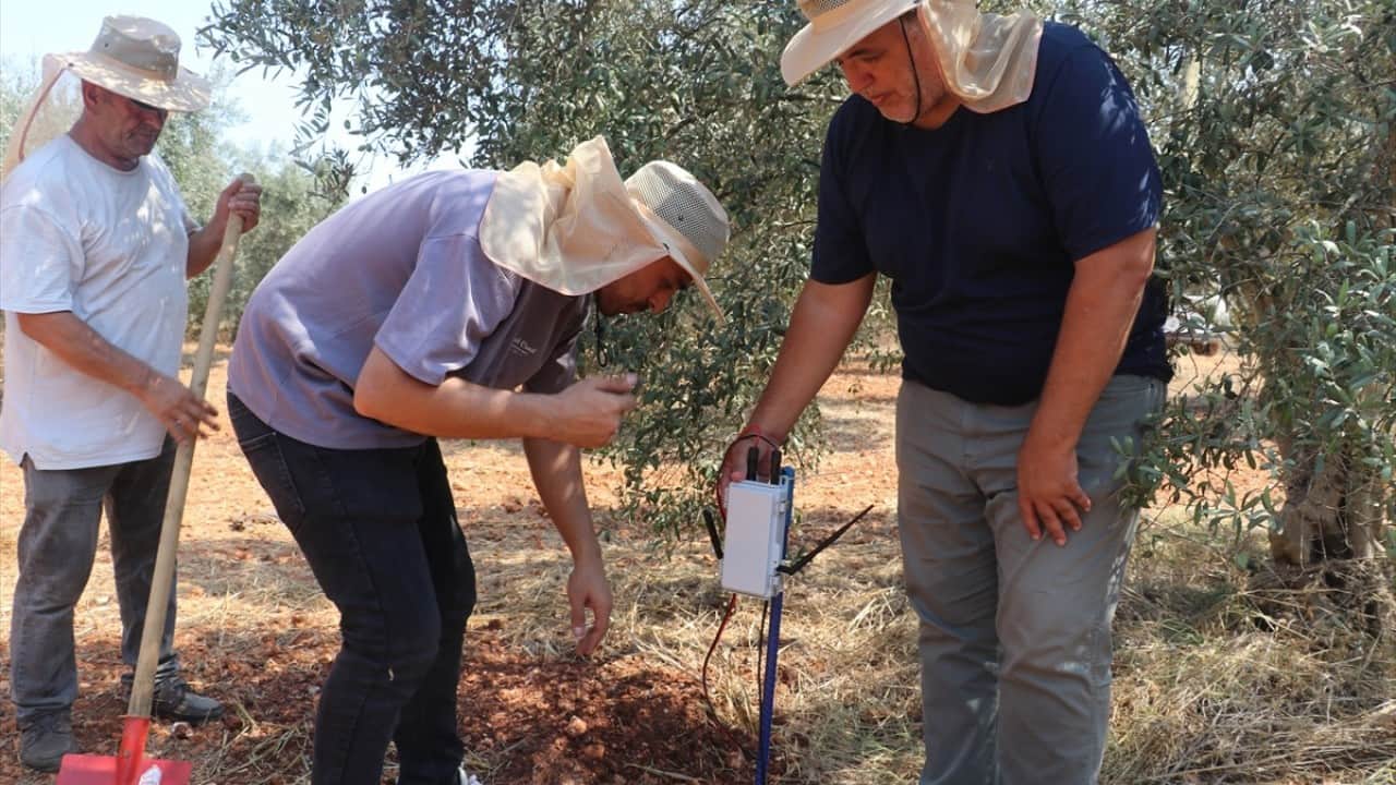Foto - Tıp doktorluğundan zeytin doktorluğuna yatay geçiş yaptılar
