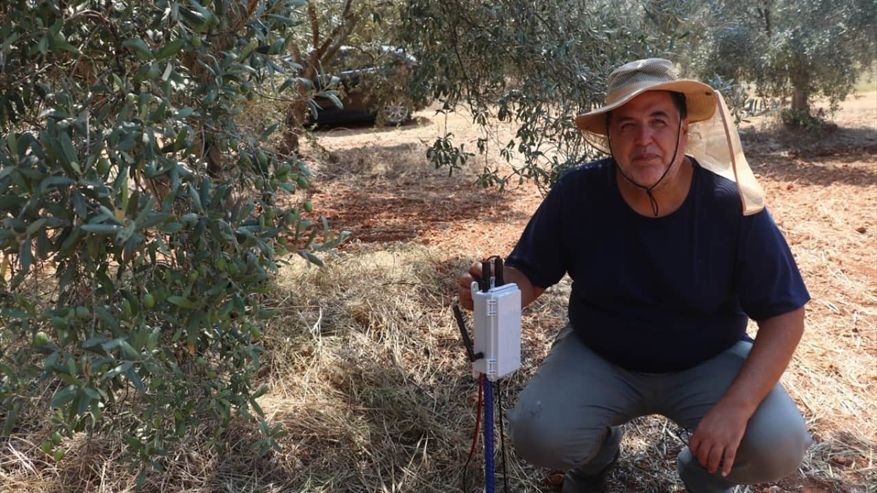 Foto - Tıp doktorluğundan zeytin doktorluğuna yatay geçiş yaptılar