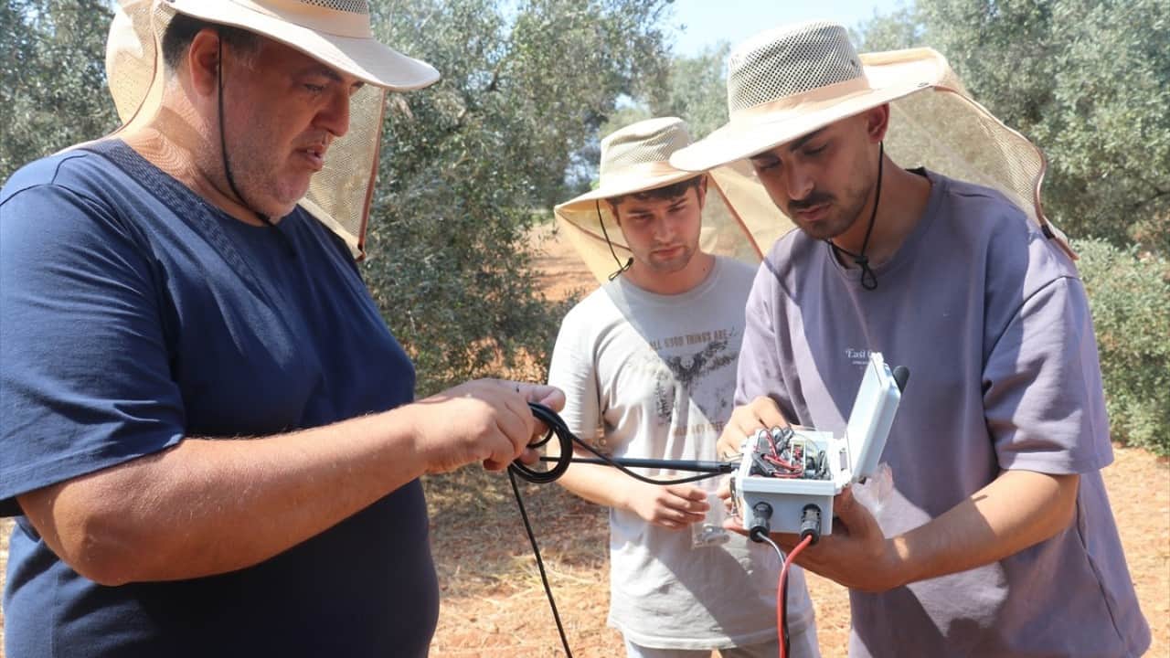 Foto - Tıp doktorluğundan zeytin doktorluğuna yatay geçiş yaptılar