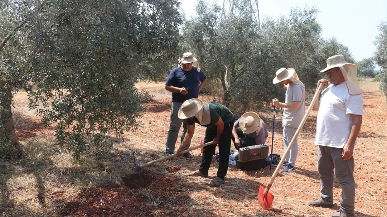 Foto - Tıp doktorluğundan zeytin doktorluğuna yatay geçiş yaptılar