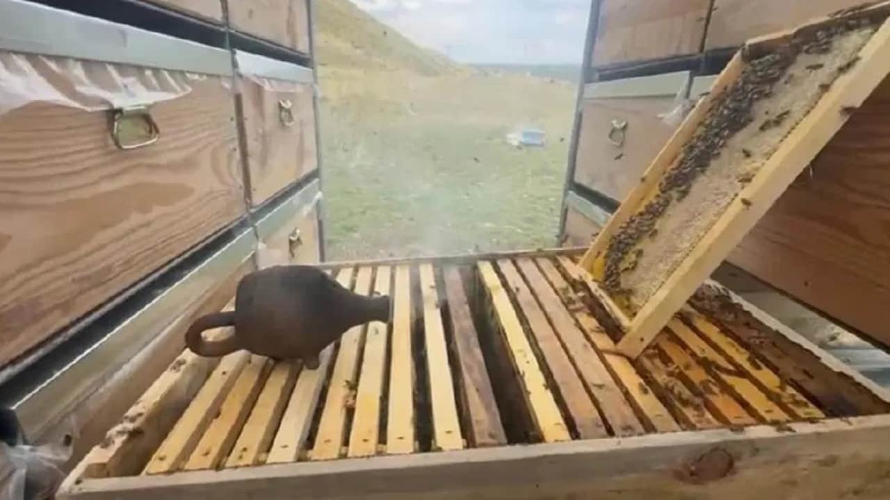 Foto - TIR’da bal üretim tesisi kurdu! Şimdi hasat zamanı