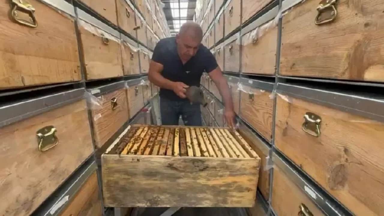Foto - TIR’da bal üretim tesisi kurdu! Şimdi hasat zamanı