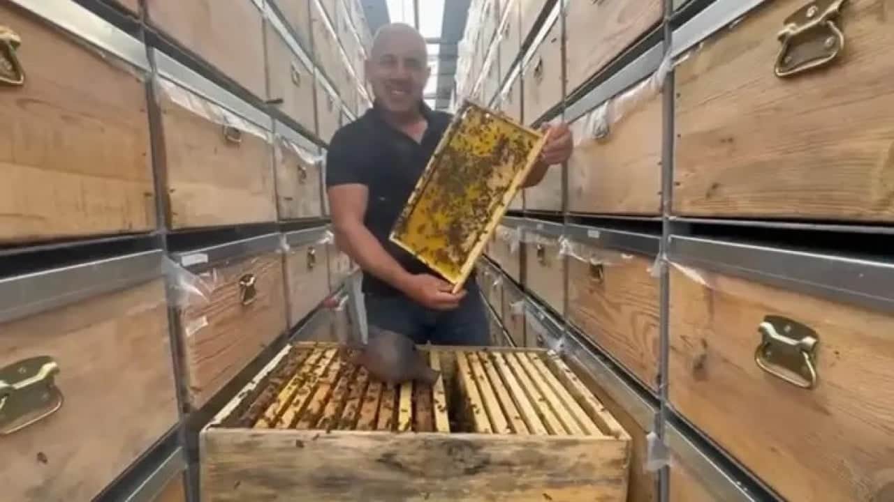 Foto - TIR’da bal üretim tesisi kurdu! Şimdi hasat zamanı