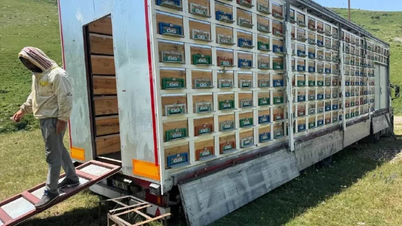 TIR’da bal üretim tesisi kurdu! Şimdi hasat zamanı
