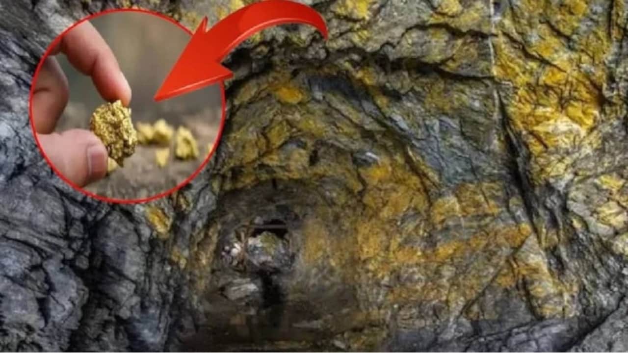 Foto - Tonlarca altının fışkırdığı o bölgede sır perde aralandı! Uzmanlar gözlerine inanamadı