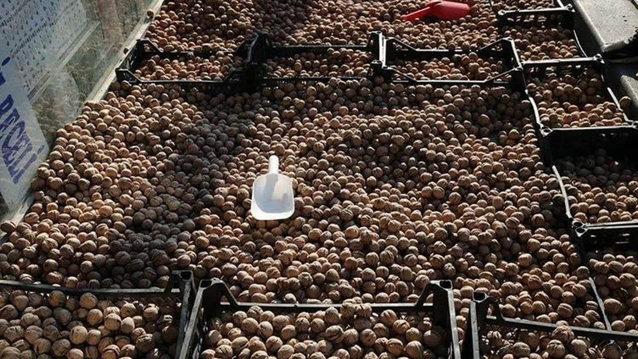 Foto - Tonlarca ceviz telef oldu, üreticiler büyük şokta! Tarladaki zayiat sonrası rekolte 7 bin tondan o rakama düştü