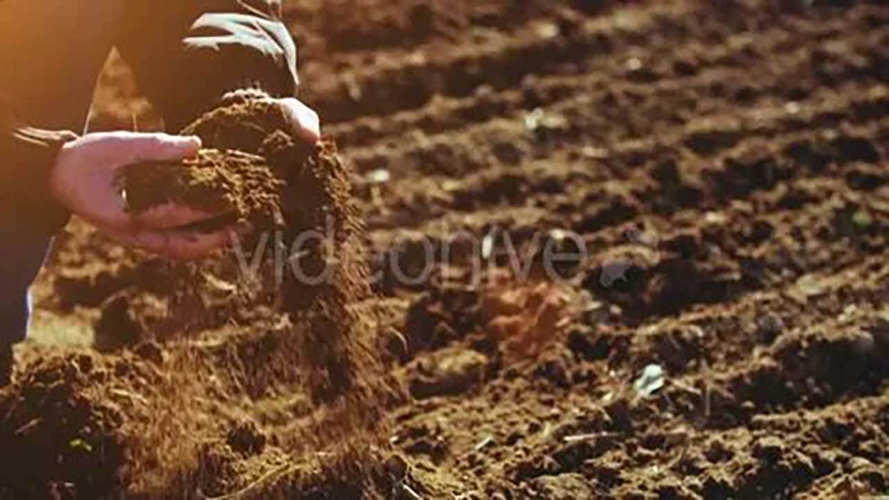 Foto - Topraktan kaçmayın! Çocuklarınızı çamura sokun, bağışıklığı baştan aşağı yeniliyor!