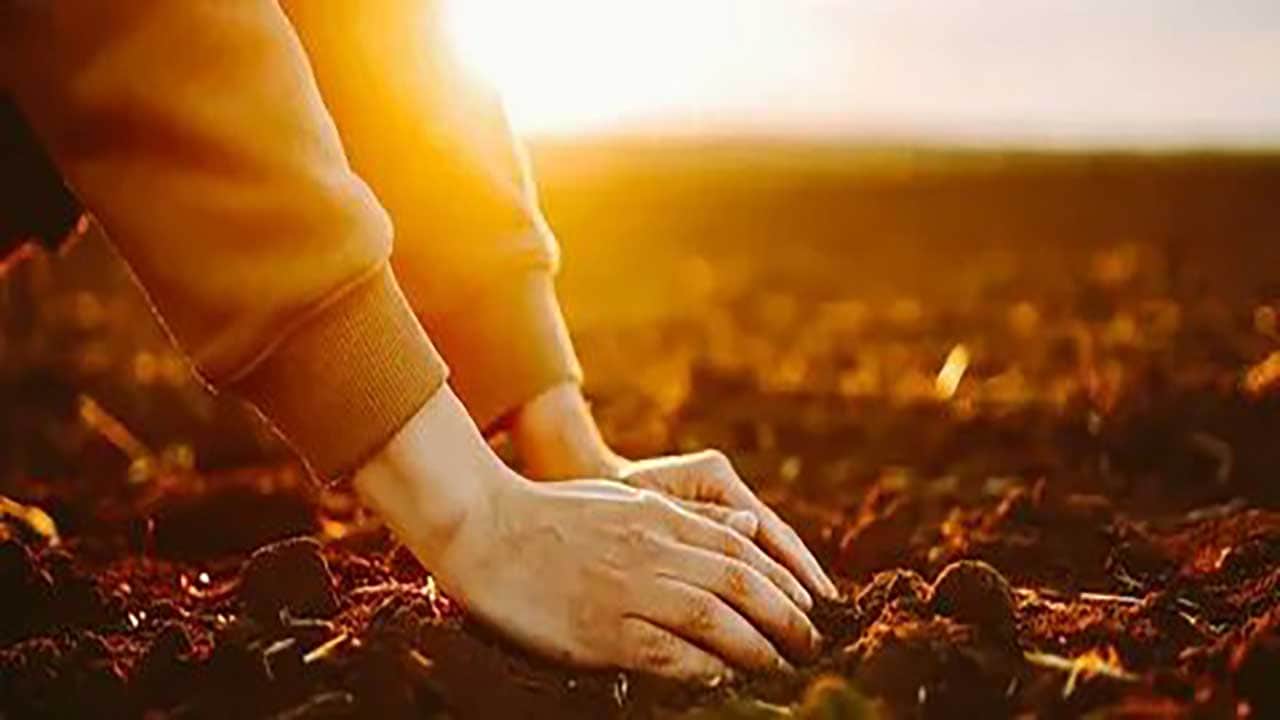 Foto - Topraktan kaçmayın! Çocuklarınızı çamura sokun, bağışıklığı baştan aşağı yeniliyor!