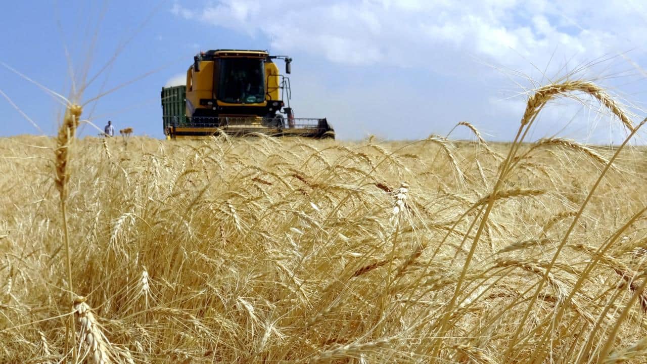 Foto - TÜİK duyurdu! Tarımsal girdi fiyat endeksi mayısta arttı