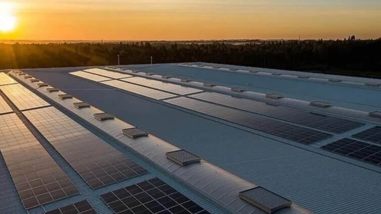 Tüm zamanların en yüksek seviyesi! Türkiye'den bedava enerji rekoru