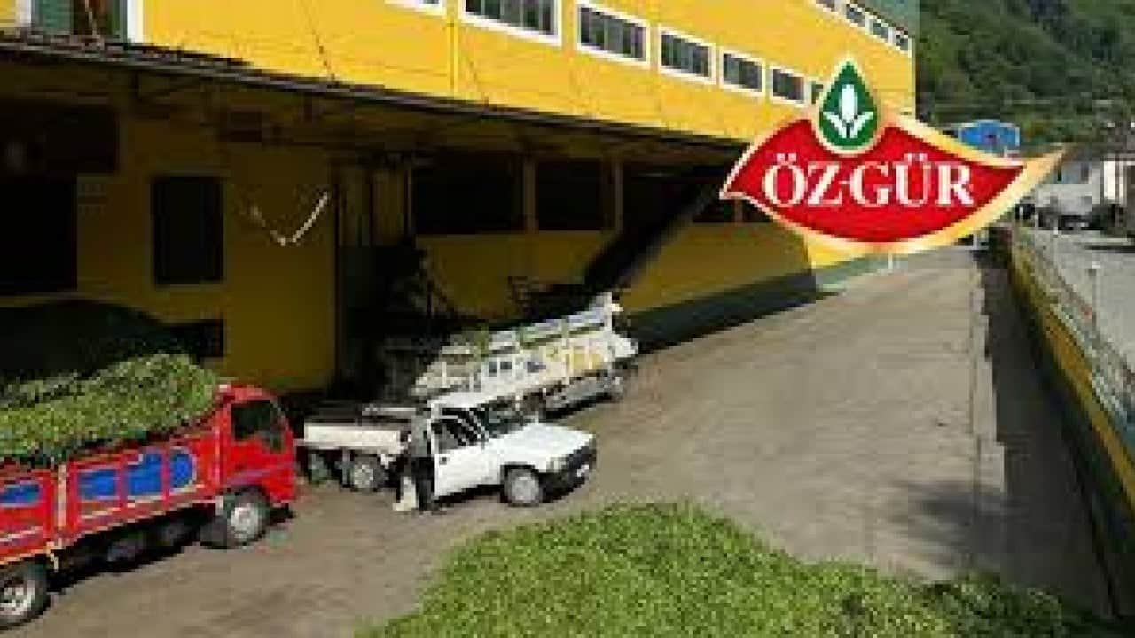 Foto - Türk halkı boykot ediyordu! Ünlü çay markası Türkiye'deki fabrikalarını sattı