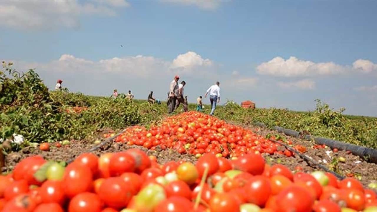 Foto - Türk tarımını vuracak hamle: Alarm sisteminde ilk sıraya yazdılar