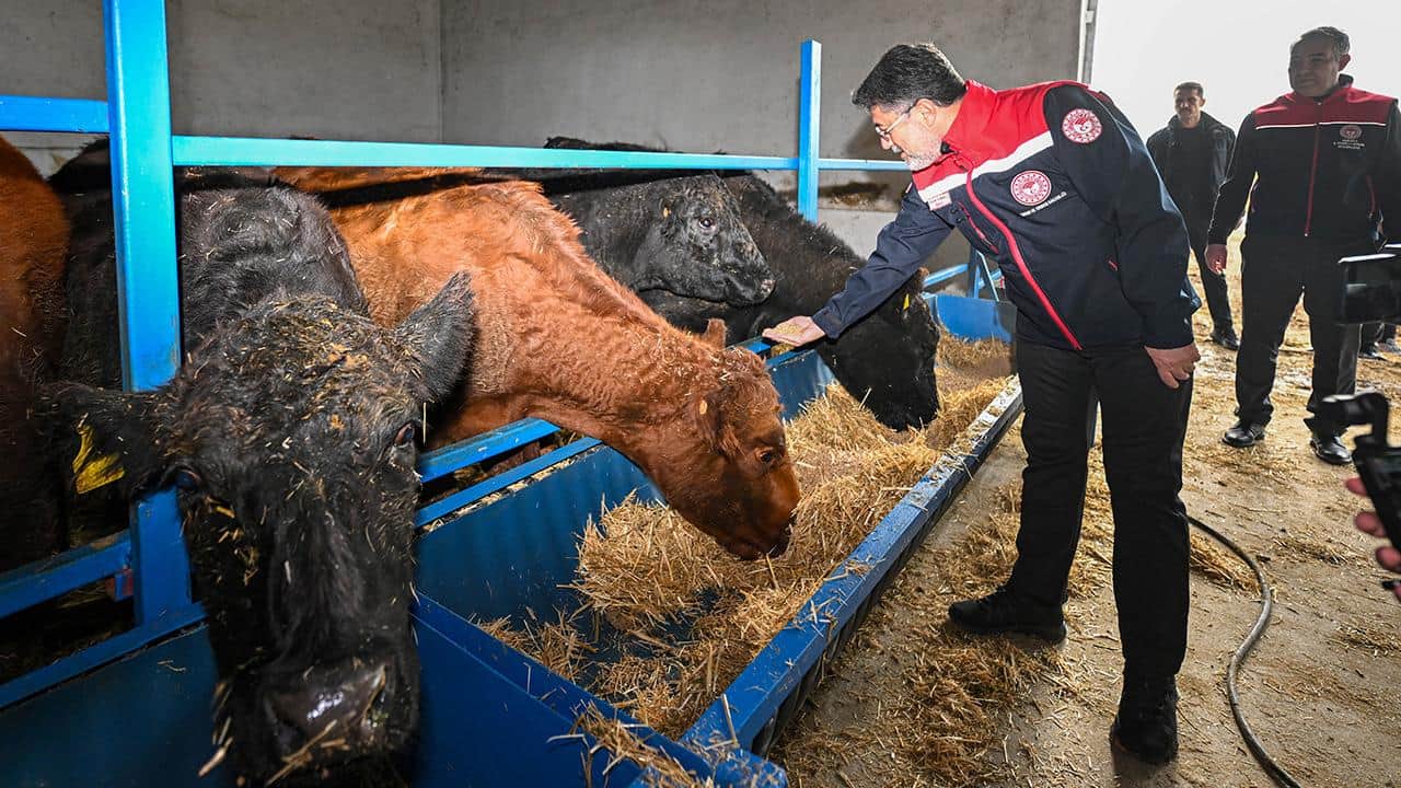 Foto - Türkiye, AB’yi ezdi geçti! ‘Hayvancılık bitmiş’ diyen fondaşlara en güzel cevap