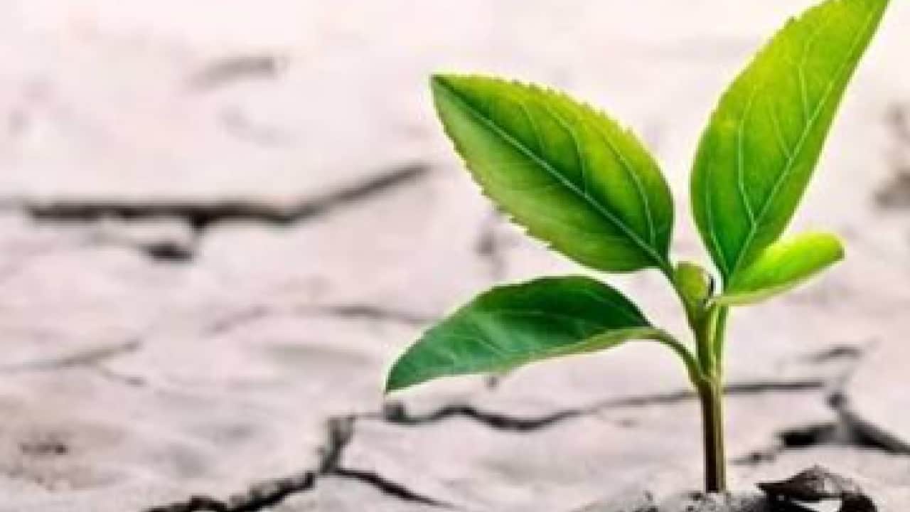 Foto - Türkiye COP17’de gündemi belirliyor: Çölleşmeye karşı yeni hamle