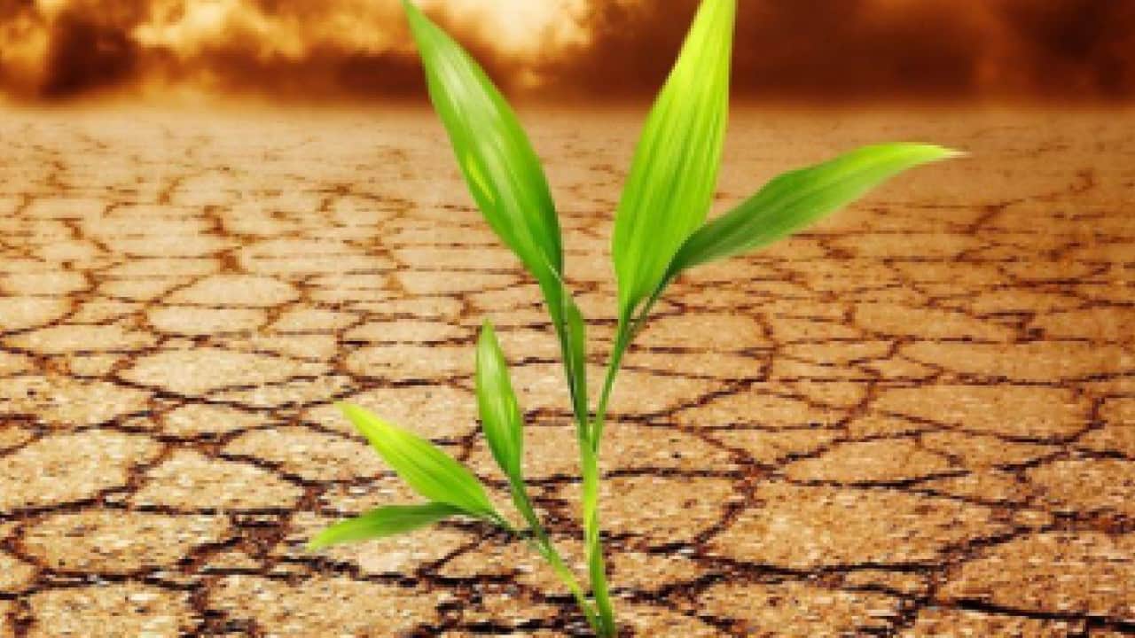 Foto - Türkiye COP17’de gündemi belirliyor: Çölleşmeye karşı yeni hamle