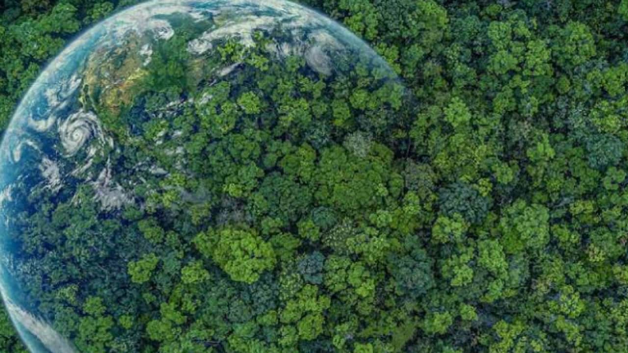 Foto - Türkiye COP17’de gündemi belirliyor: Çölleşmeye karşı yeni hamle