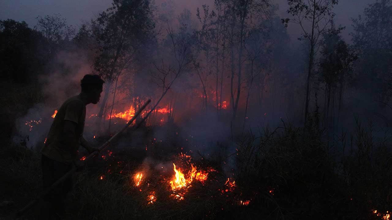 Foto - Türkiye dostu ülkede büyük mücadele